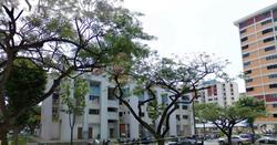 Blk 117 Hougang Avenue 1 (Hougang), HDB 3 Rooms #135357702